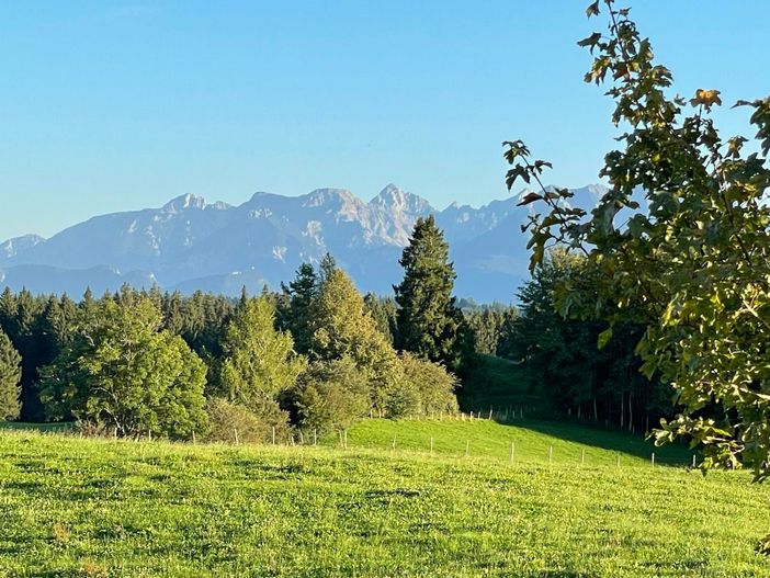 Bergblick auf Moorspaziergang