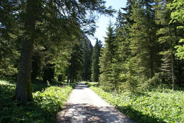 Bergtour Schlagstein