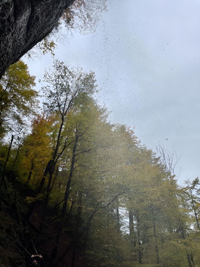 STEIBIS_Priv.Impressionen_Herbst_2023_016_restored