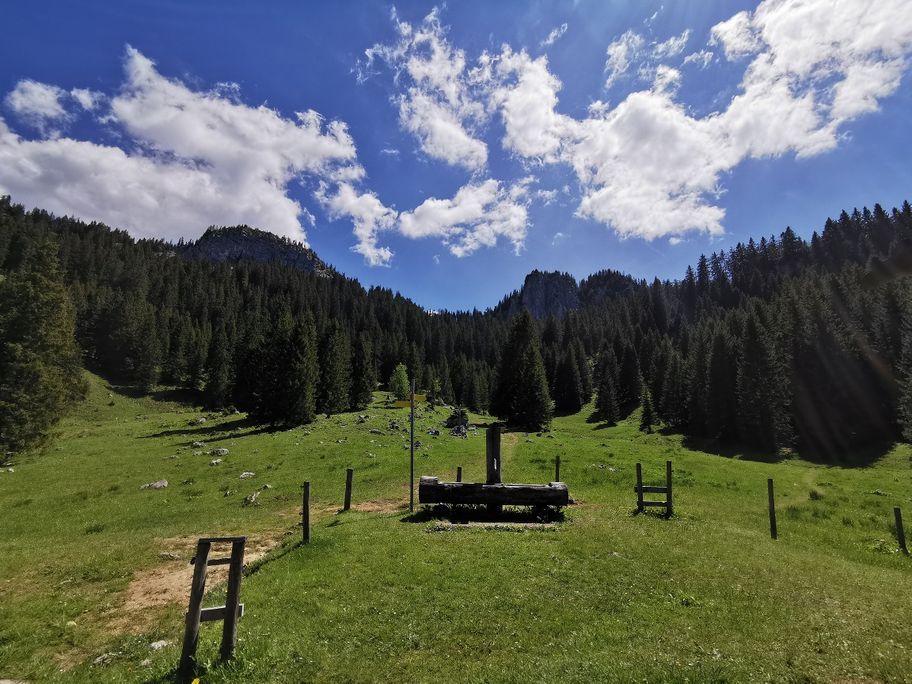 Schönleitenschrofen