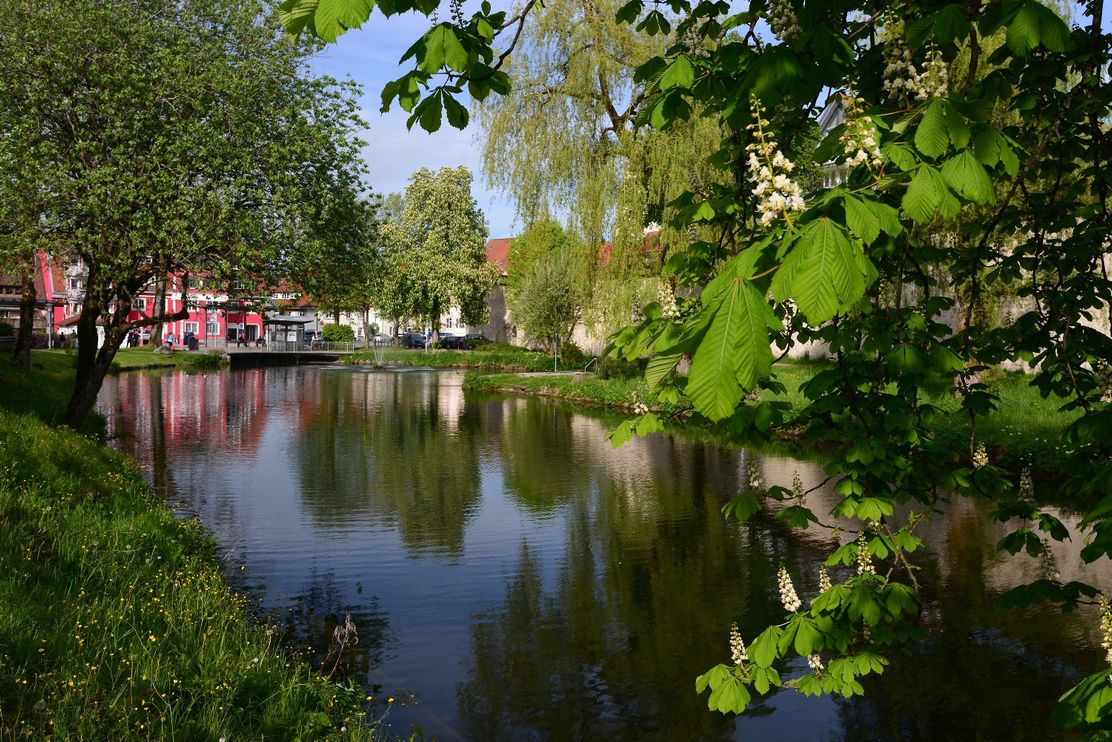 Grabenweiher Isny im Allgäu