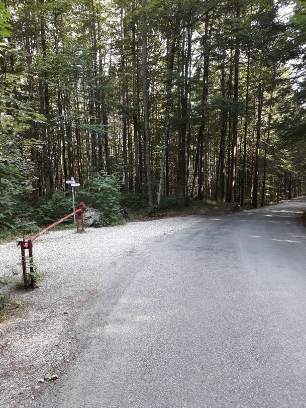 Abzweigung von der Fahrstraße Richtung Weißensee-Rundweg