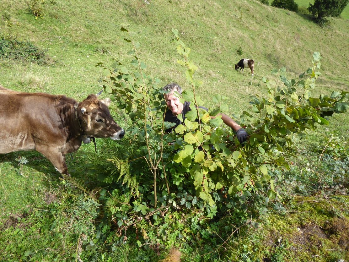 Felsen frei für den Apollo!_Theresa Hilber_klein