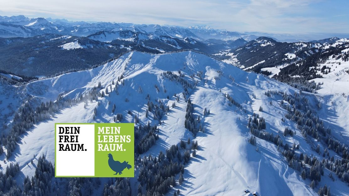 Drohnenbild vom Bleicher Horn - Naturpark Nagelfluhkette