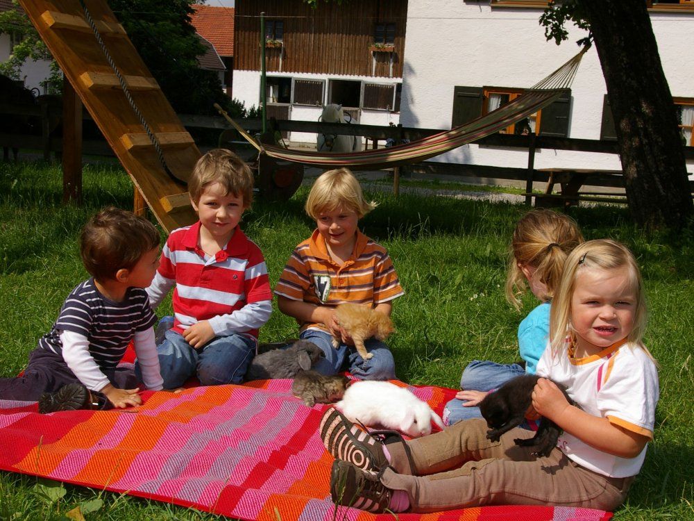 Bei uns werden Ihre Kinder schnell zu Katzenmamas und -Papas
