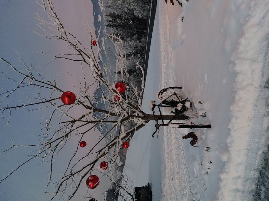 20221218_165954-kopie