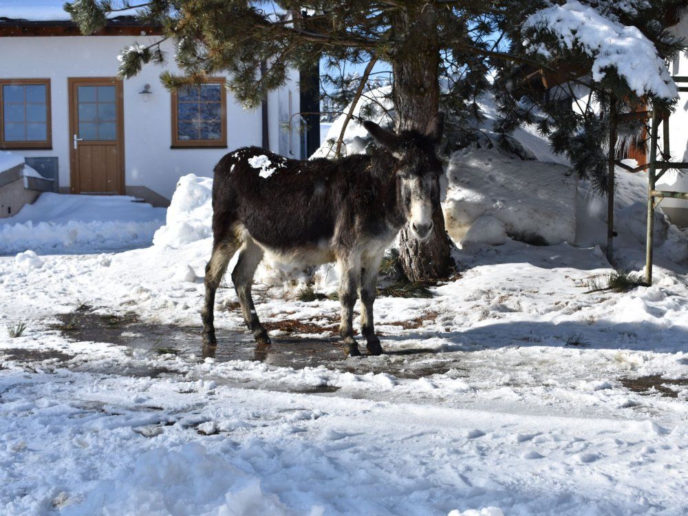 bilder kamera neu 715