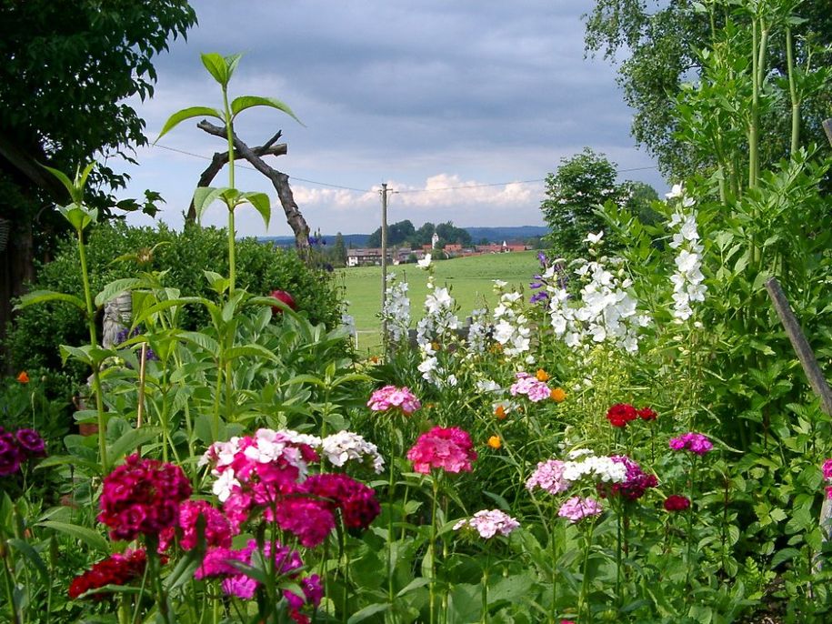 Was uns auszeichnet-  unser Garten