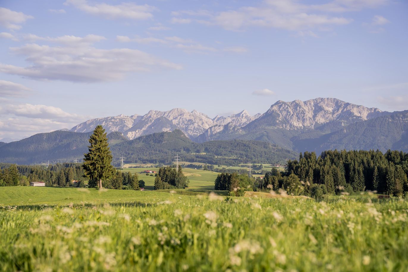 Aussicht