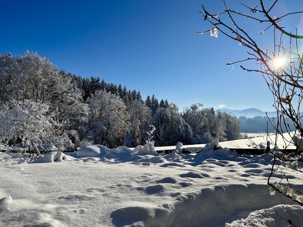 Verschneiter Naturgarten am Landsitz Rocky Docky im Allgäu
