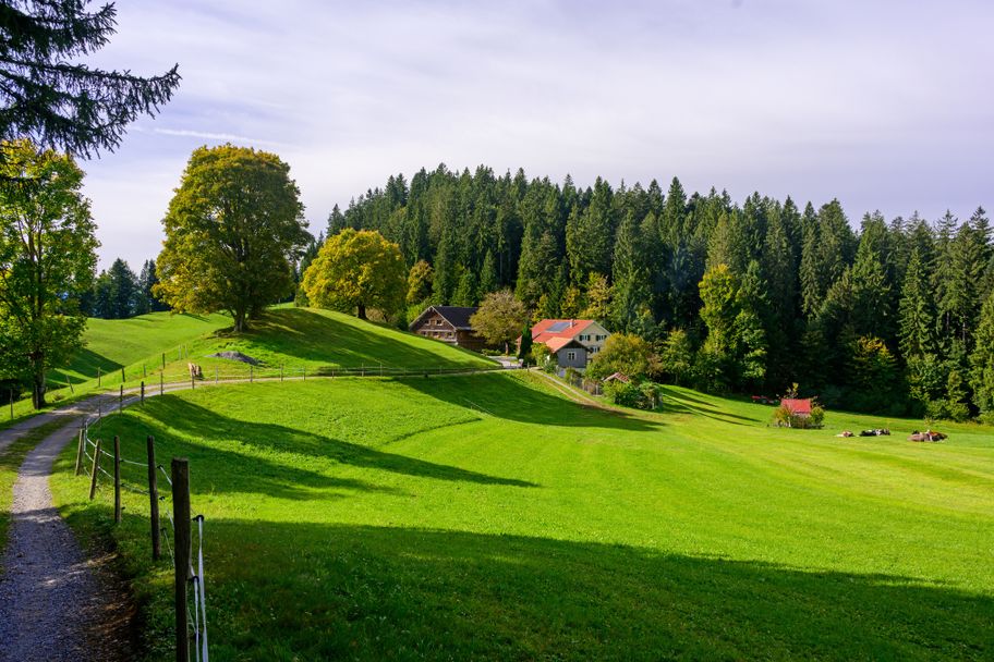 Von Langen auf den Hirschberg
