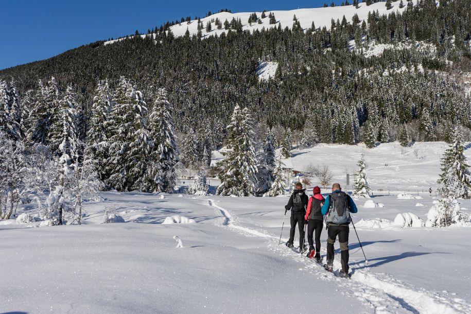 PHO_Schneeschuhwanderung_LR (17 von 23)