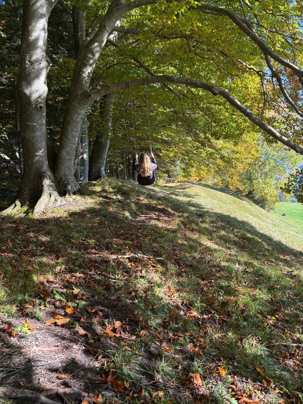 mal ganz entspannt durch die Natur