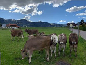 TI-Außenanblick_I