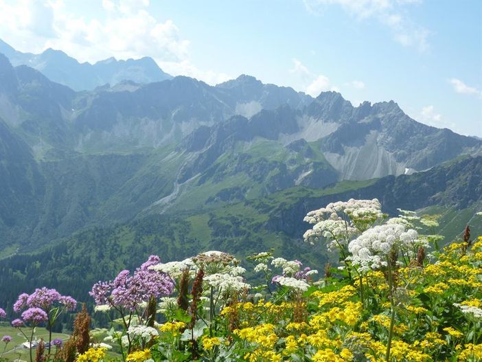 Blick vom Fellhorn