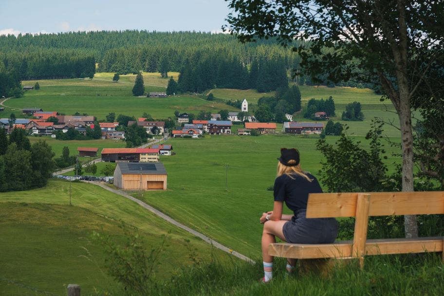 Blick auf Diepolz