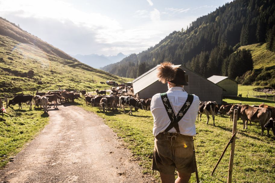 Entspanntes Warten auf den Abmarsch zum Bolsterlanger Viehscheid