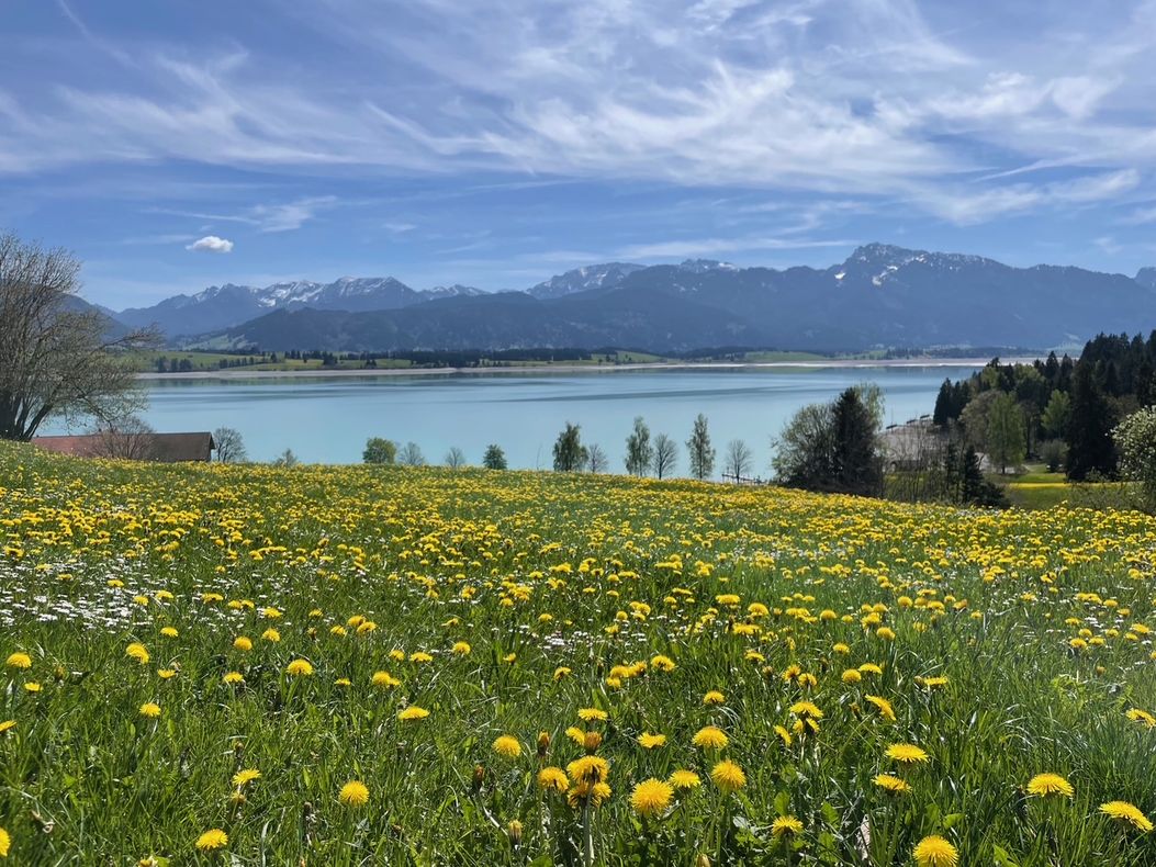 der Forggensee um die Ecke