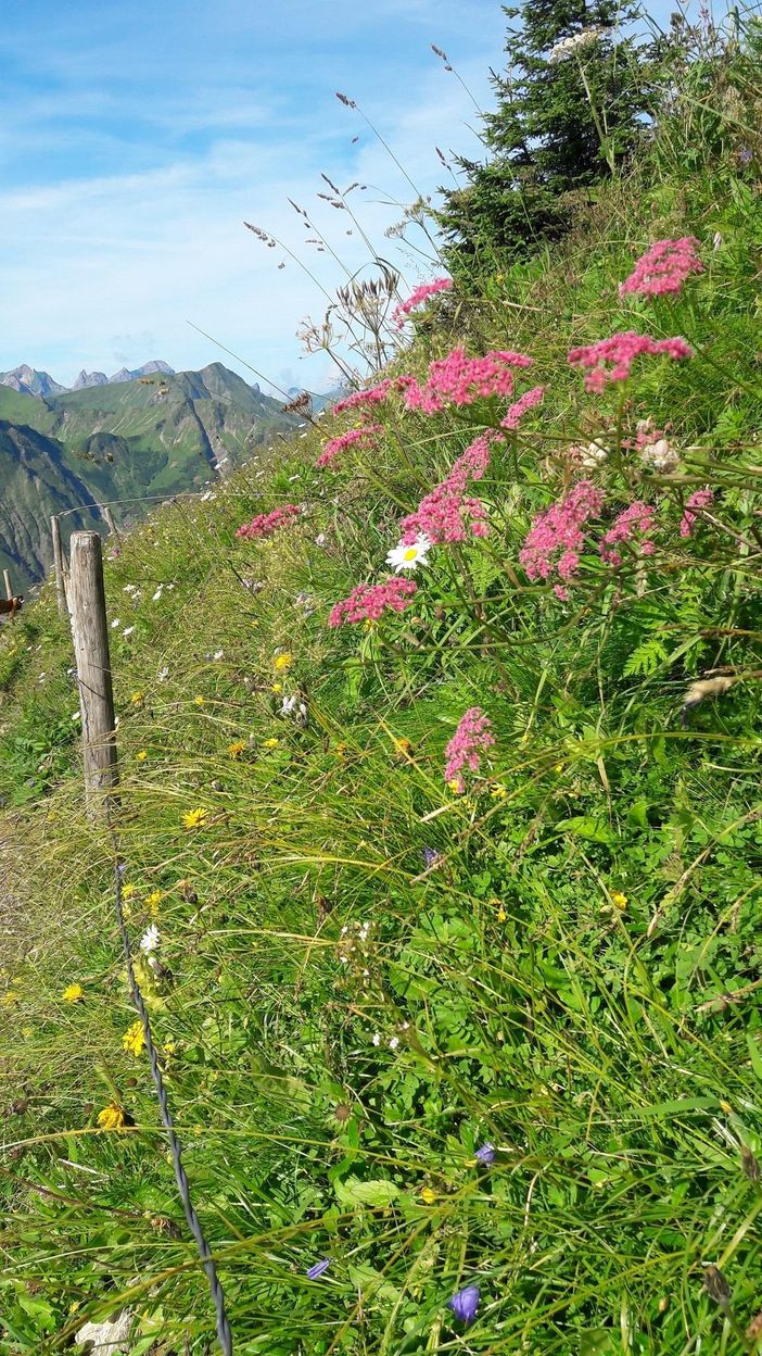 In den Bergen