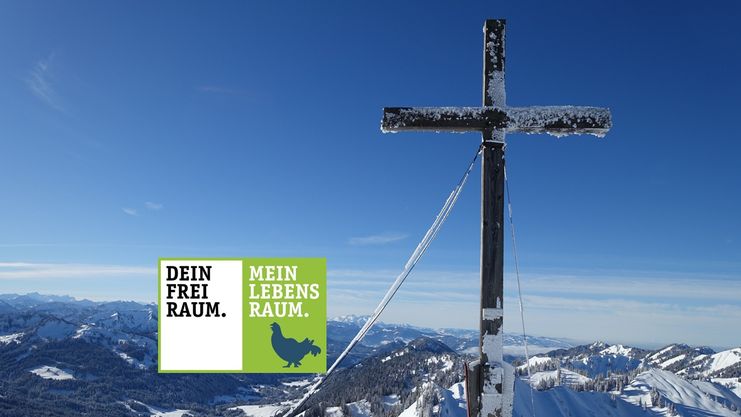 Von Balderschwang auf den Siplingerkopf (1.748,3m)