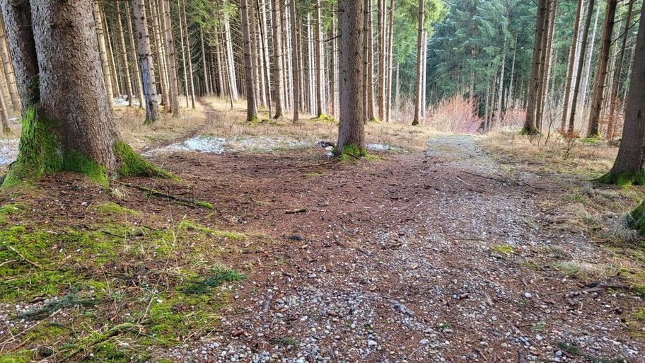 Rundtour über die Bergmang Alpe