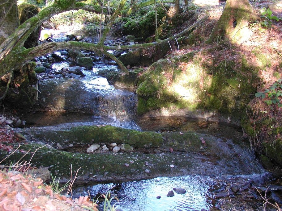 Schiessbachtobel bei trockener Witterung empfehlenswert