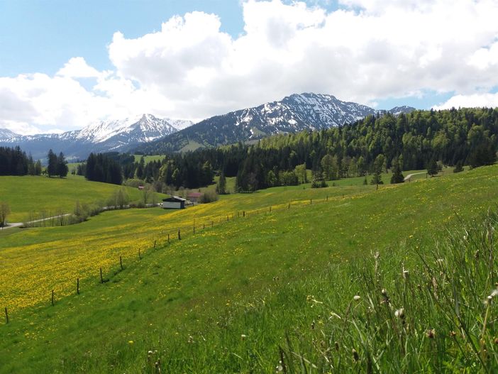 Maiblick