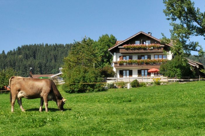 Unser Ferienhof mit Milchkuh