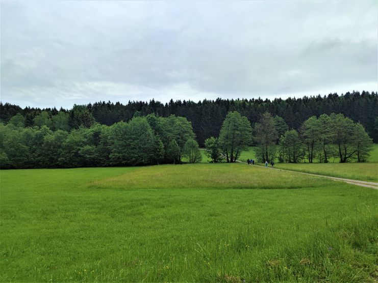 Stadtwald Mindelheim