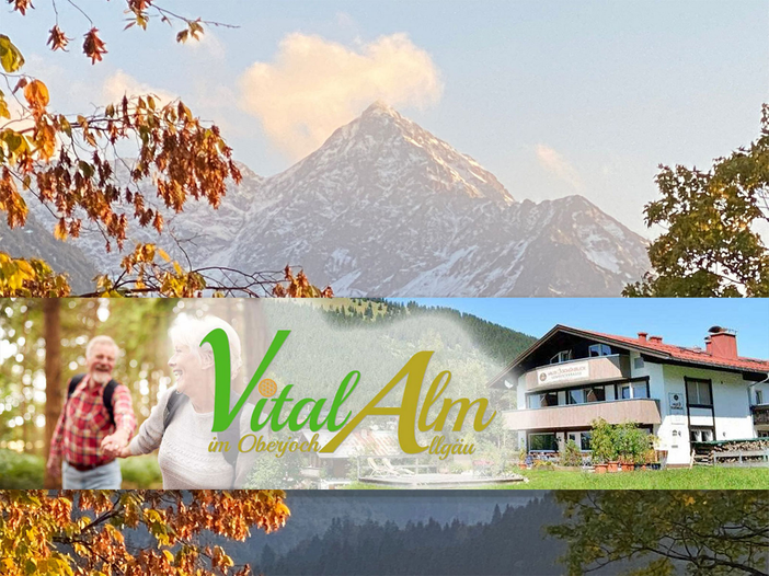 VitalAlm 1