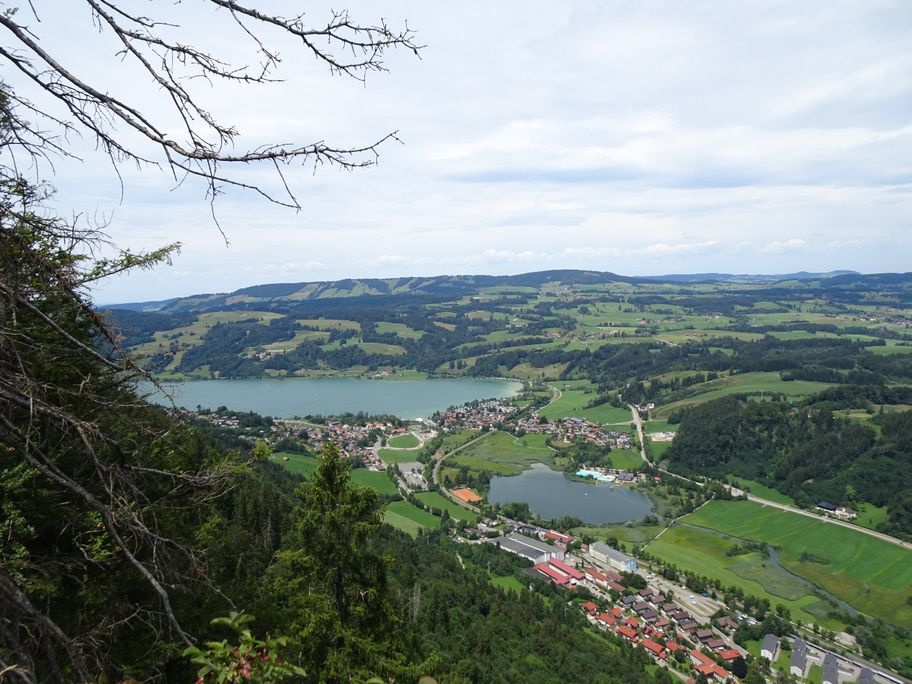 Blick auf den Alpsee von der Kanzel