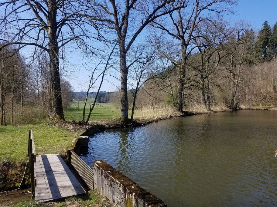 Weiher bei Leupolzmühle