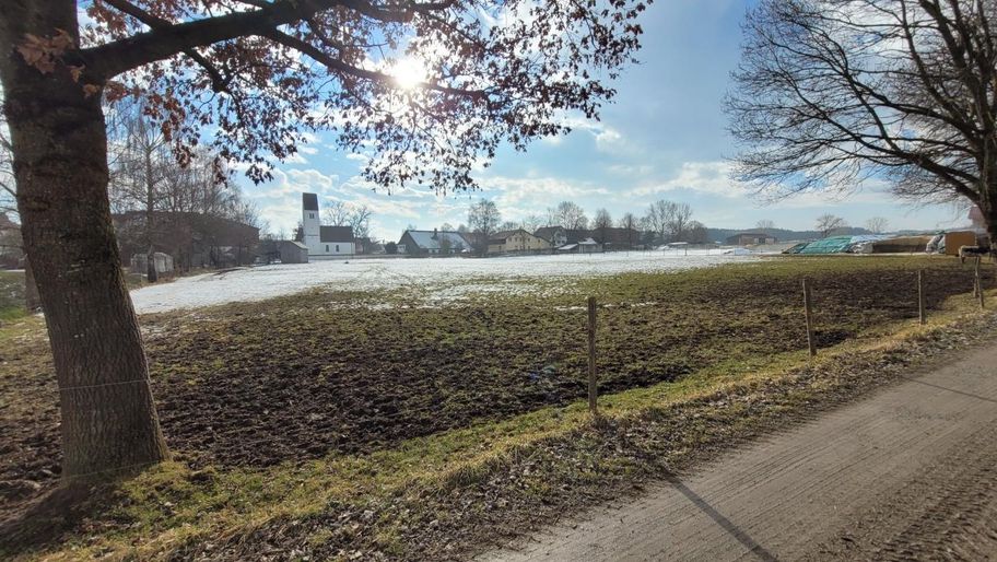 Stadtwaldrunde in Buchloe