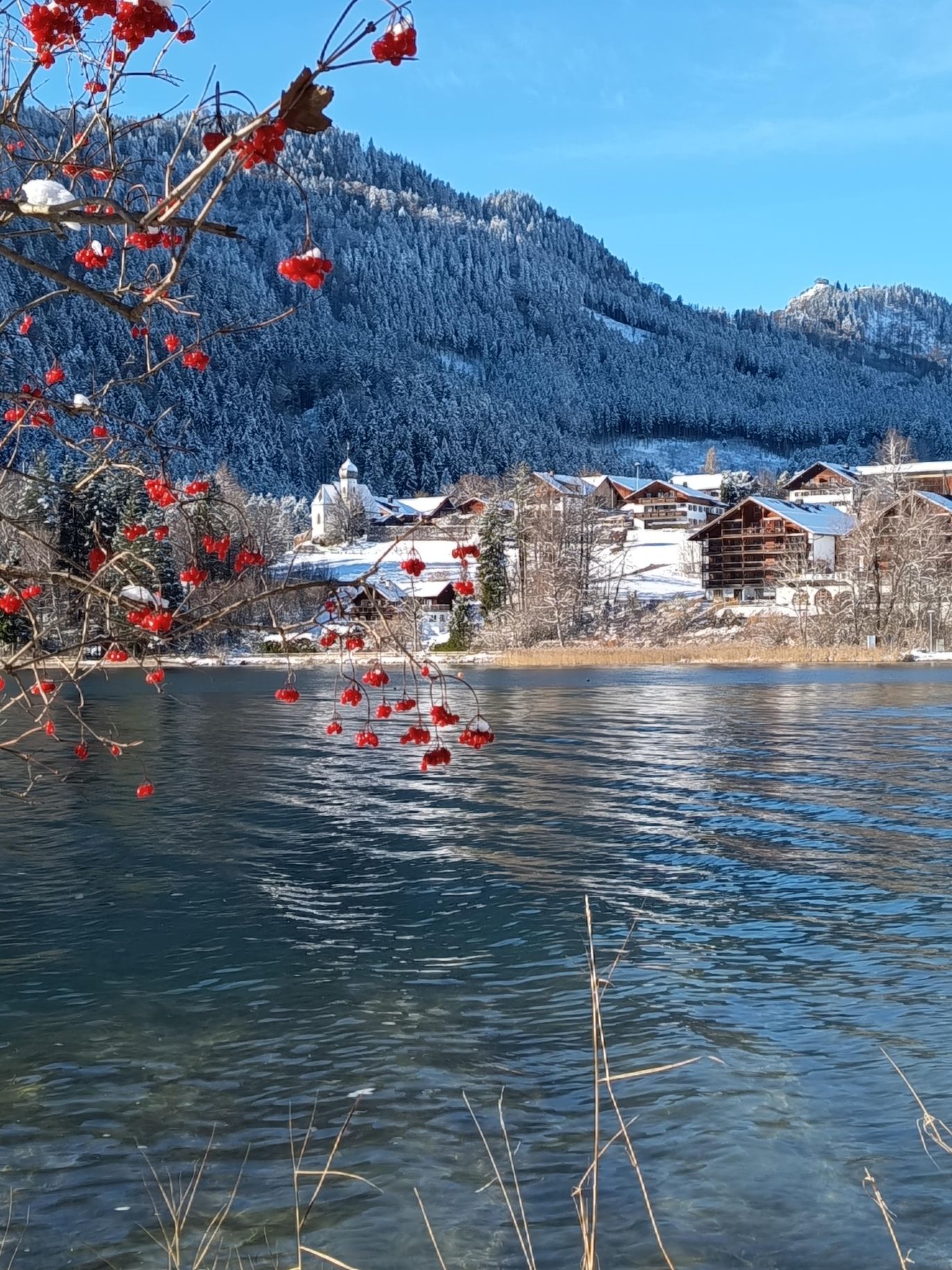 Oberkirch mit Falkenstein