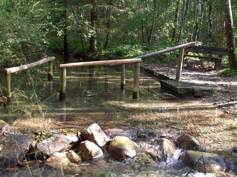 Walderlebnispfad Buxheim