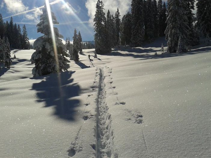 Winterlandschaft im Allgäu