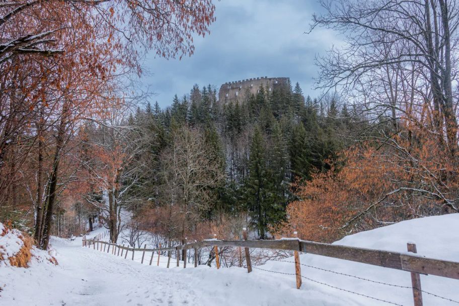 Waldweg zwischen der Burgruine Eisenberg und Hohenfreyberg.