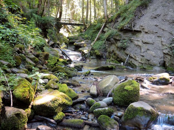 Hausbachklamm in Weiler im Allgäu