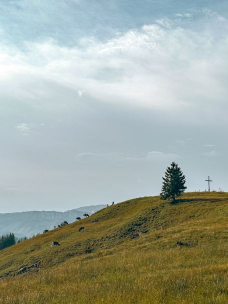 Blick auf Gipfelkreuz Hochschelpen