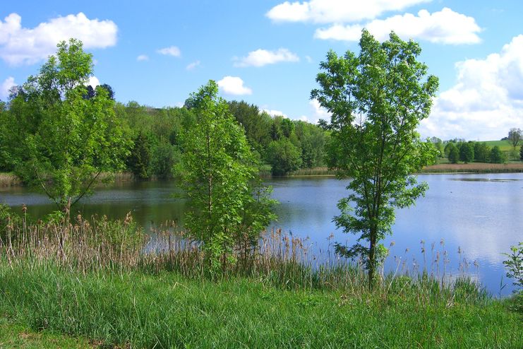 Bachtelweiher