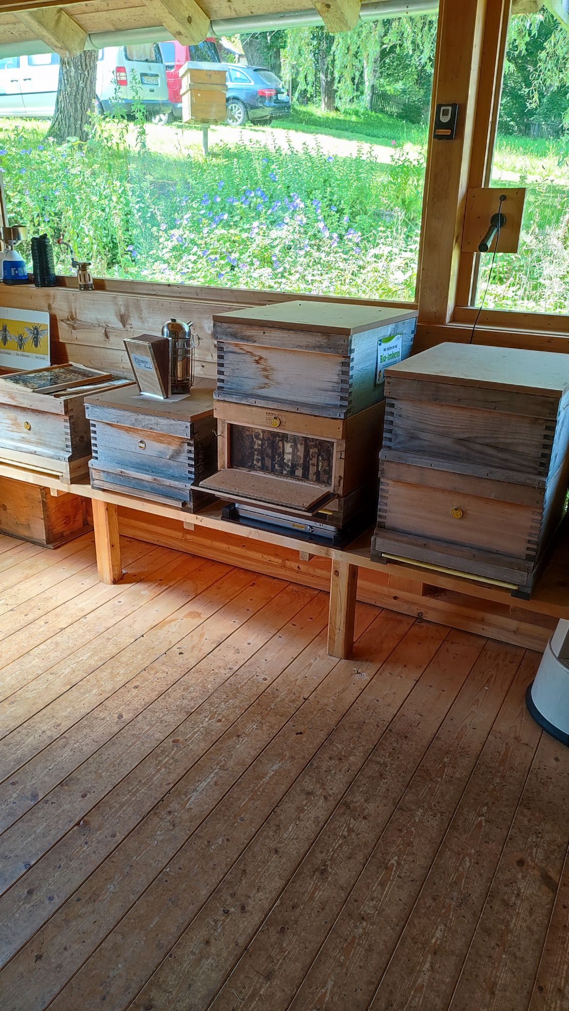 B_2024-07-19_Summerfest_ST (14)