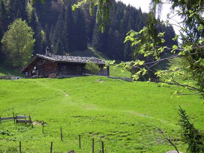 Alpe Gschwenderberg bei Immenstadt