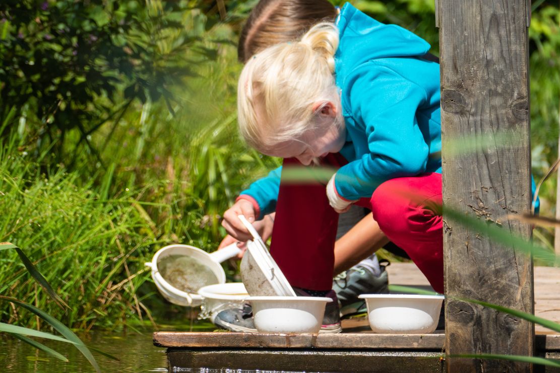 Wunderwelt Wasser_Anna Mareike Rathjen_klein