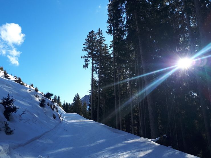 Nesselwängle – Krinnenalpe - Nesselwängle