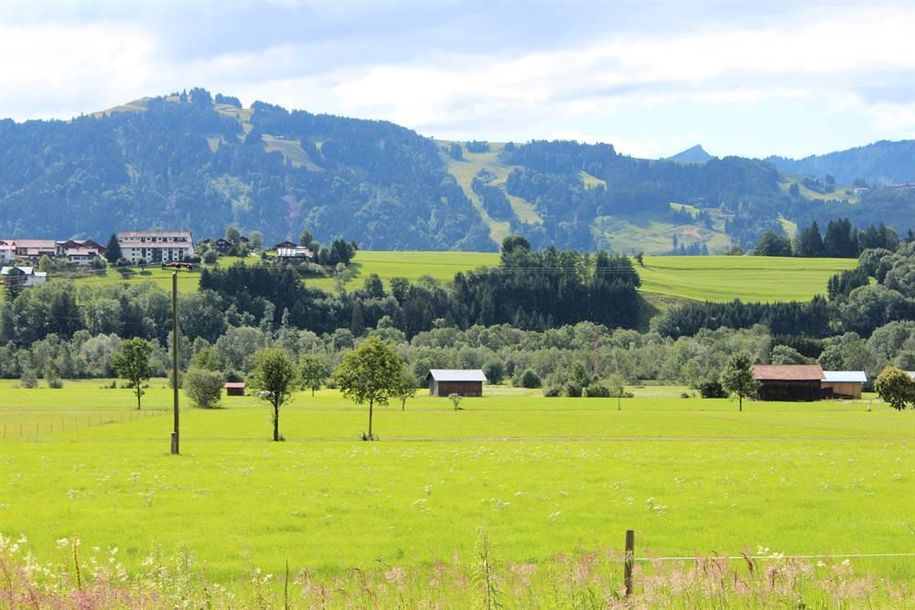 Wiesenweg