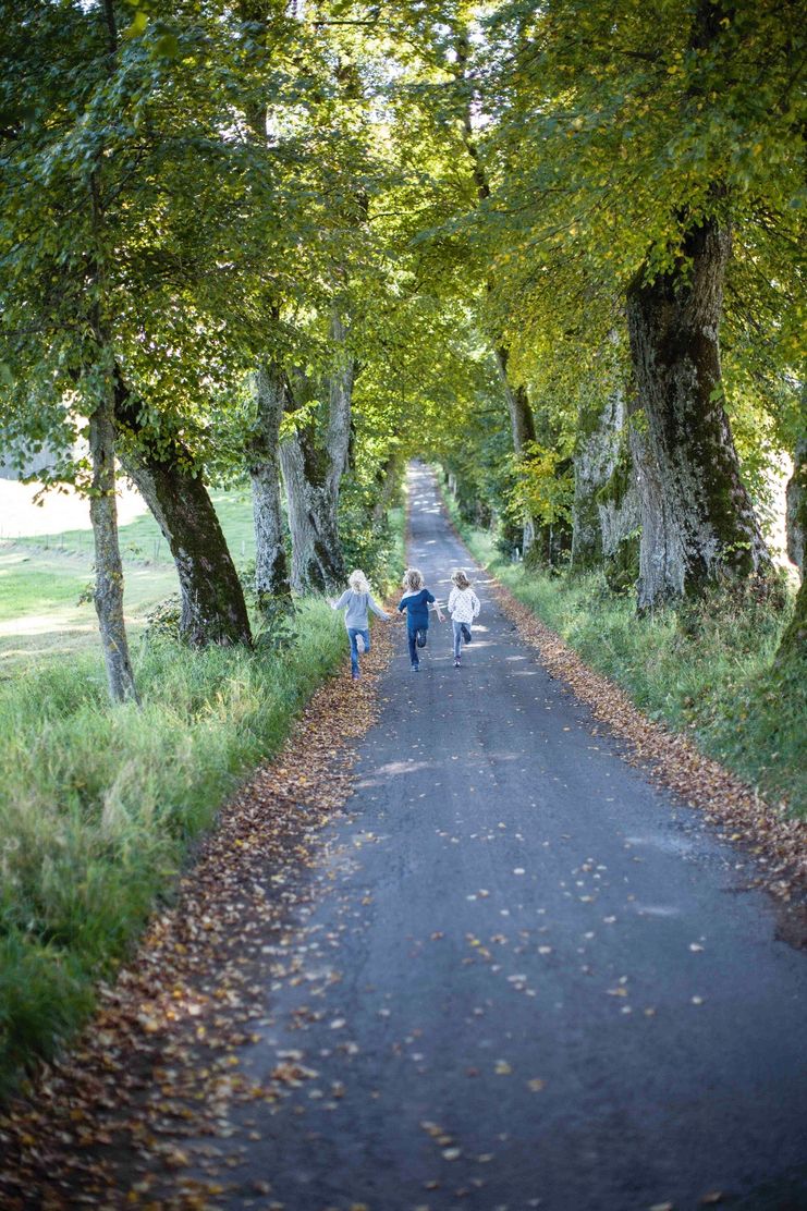 Die Kurfürstenallee in Marktoberdorf