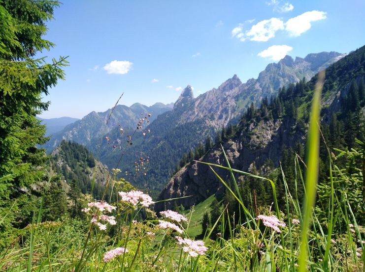 Blick vom Reitweg auf die Ammergauer Alpen