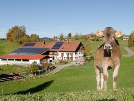 Ihr Ferienhof