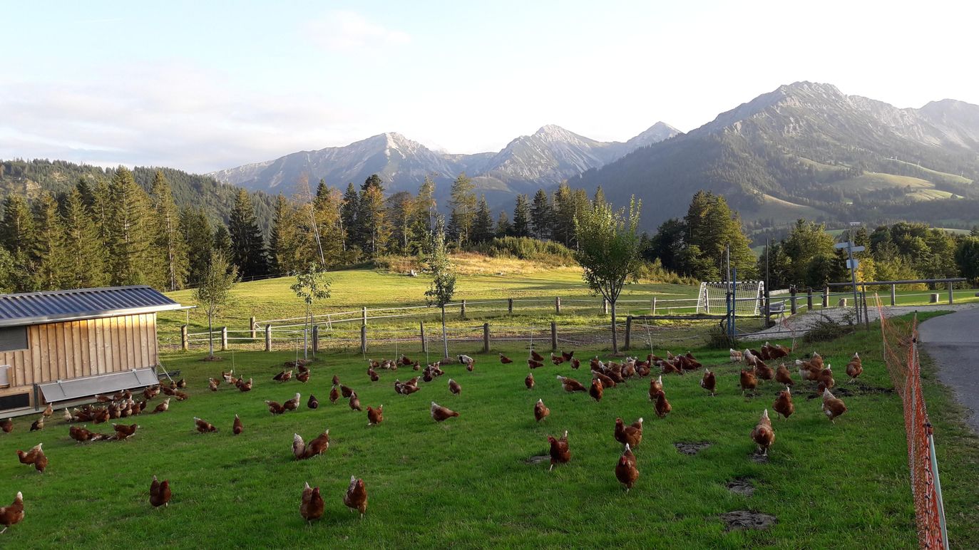 unsere Kulturlandschaft