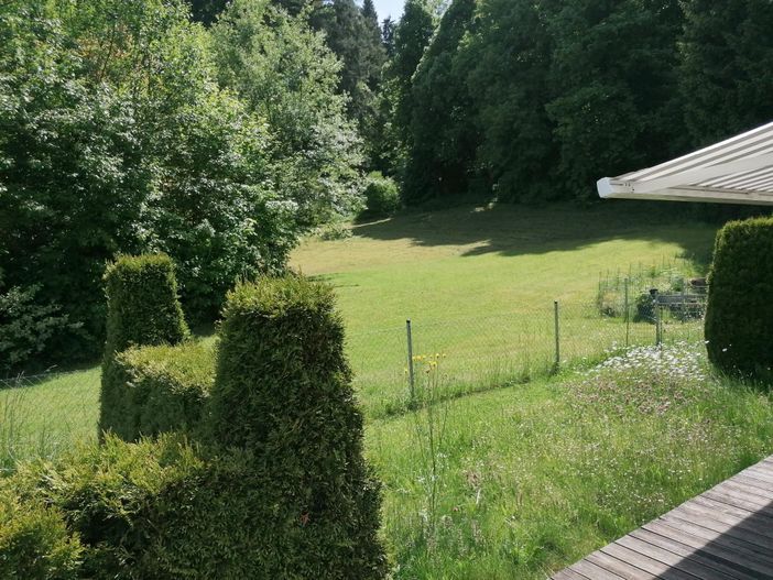 Ausblick ins Grüne